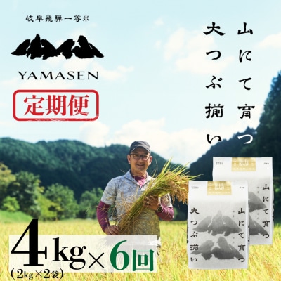 令和6年産米【定期便】山仙(いのちの壱)2kg×2(4kg)×6回 定期 すがたらいす【51-J】