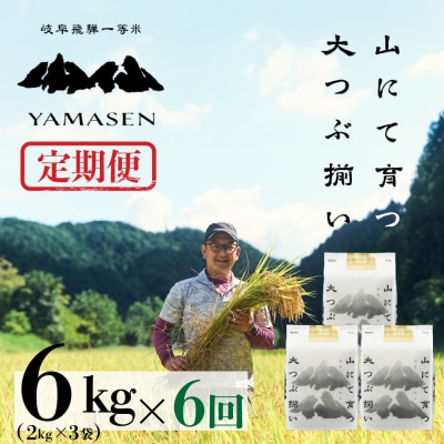 令和6年産米【定期便】山仙(いのちの壱)2kg×3(6kg)×6回 定期 すがたらいす【51-K】