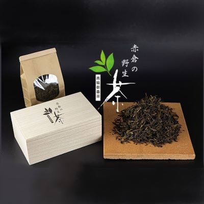 赤倉の野生茶