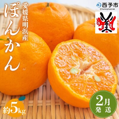 <愛媛県明浜産ぽんかん(5kg)>【2月発送】　柑橘　フルーツ　果物　果実　ポンカン