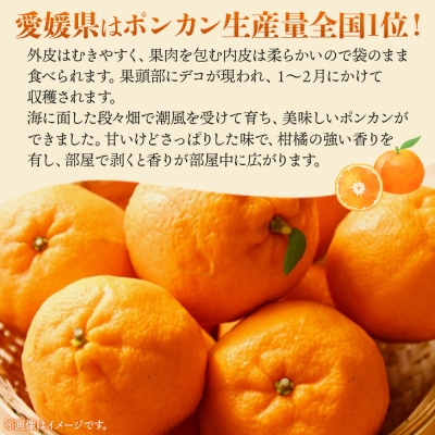 <愛媛県明浜産　ぽんかん(2kg)>【1月発送】　ポンカン　柑橘　果物　フルーツ　果実