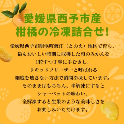 【訳あり】冷凍みきゃんセット みきゃん盛り(皮付き10個・皮無し3個)