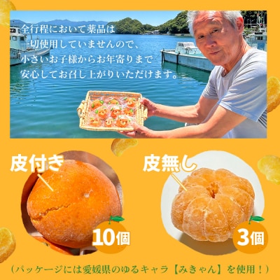 【訳あり】冷凍みきゃんセット みきゃん盛り(皮付き10個・皮無し3個)
