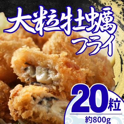 大粒の牡蠣を使用!カキフライ20粒(約800g)　油で揚げるだけの簡単調理!～神奈川県大磯町～