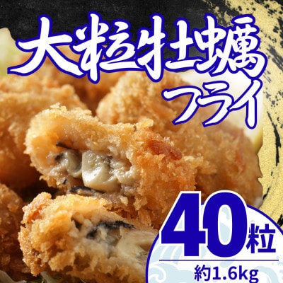 大粒の牡蠣を使用!カキフライ40粒(約1.6kg)　油で揚げるだけの簡単調理!～神奈川県大磯町～