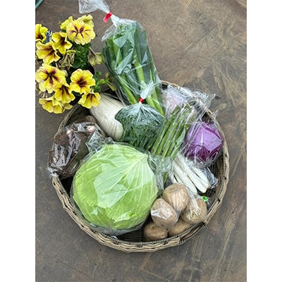 季節のこだわり野菜 詰め合わせ 5kg