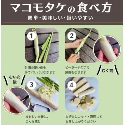かながわブランド 大磯マコモ(2kg 10～18本程度)【栽培期間中農薬不使用】