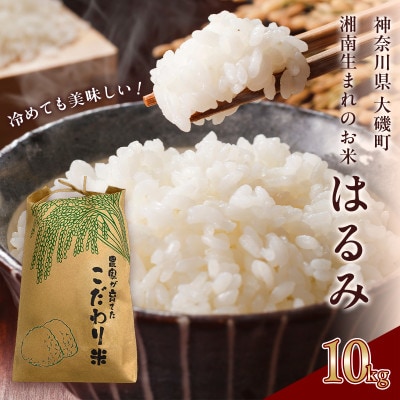 【R8年10kg】湘南生まれのお米「はるみ」