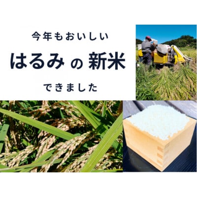 【R8年10kg】湘南生まれのお米「はるみ」