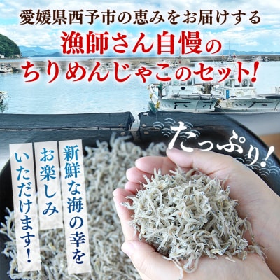 漁師さん自慢のちりめんじゃこ 合計350g(1パック70g入り)