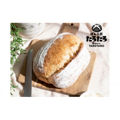 ぱん工房たろたろカンパーニュ8個セット[№5755-0239]