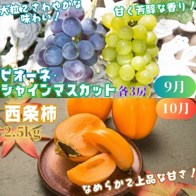 【2025年発送分】八頭のフルーツプレミアムコース