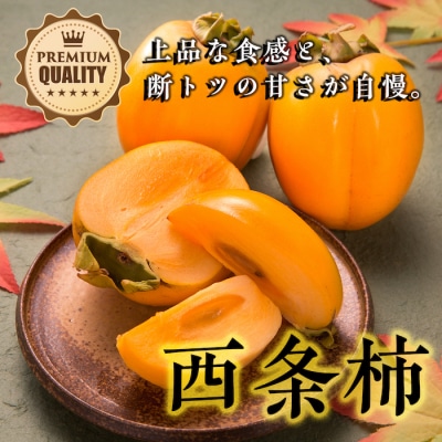 【2025年発送分】八頭の柿スペシャルコース【10月～12月/3回お届け】
