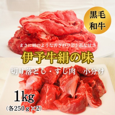 伊予牛絹の味　牛切り落とし、牛すじ肉セット