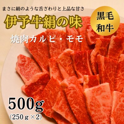 伊予牛絹の味　焼肉用カルビ・モモ500g(250g×2)