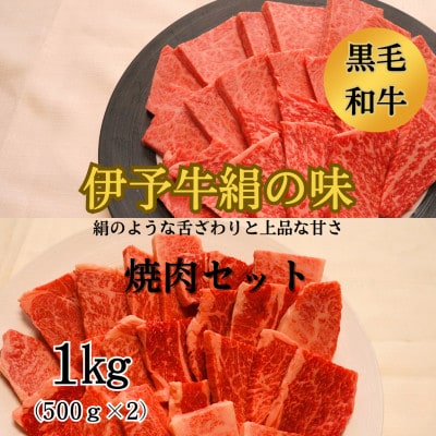 ★焼肉食べ比べセット★　伊予牛絹の味　焼肉用ロース500,カルビ・モモ500g