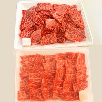 ★焼肉食べ比べセット★　伊予牛絹の味　焼肉用ロース500,カルビ・モモ500g