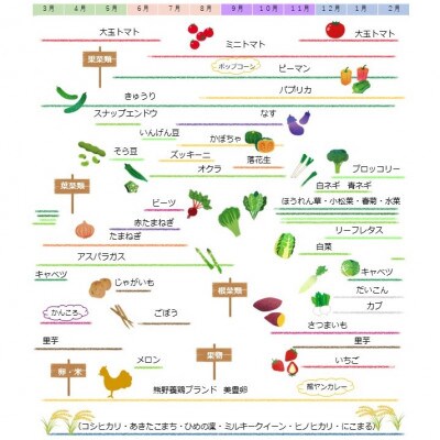 たべとうみんの旬菜ボックス