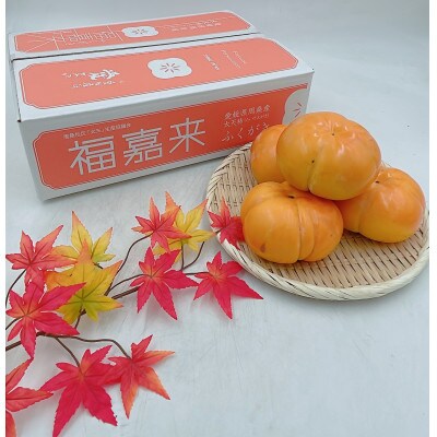 【先行受付】太天柿(JA東予園芸)7個～8個入