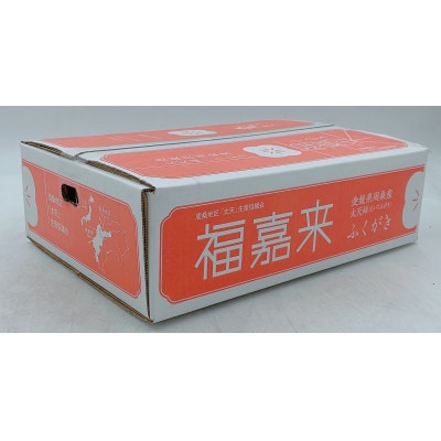 【先行受付】太天柿(JA東予園芸)7個～8個入