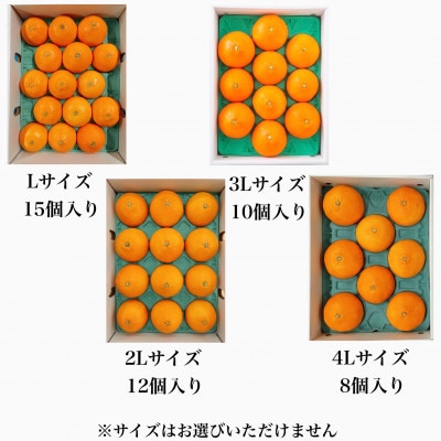 【先行受付】紅まどんな(JA東予園芸またはJA周桑)　L～4Lサイズ　約3kg