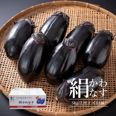 名水育ち 西条市特産 絹かわなす 約5kg(14個セット)