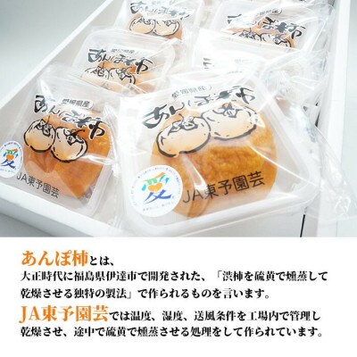 西条特産あんぽ柿8個入りセット