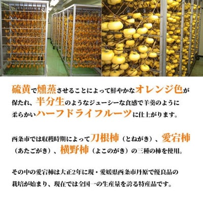 西条特産あんぽ柿8個入りセット