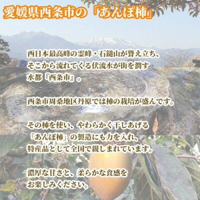 西条特産あんぽ柿12個入りセット