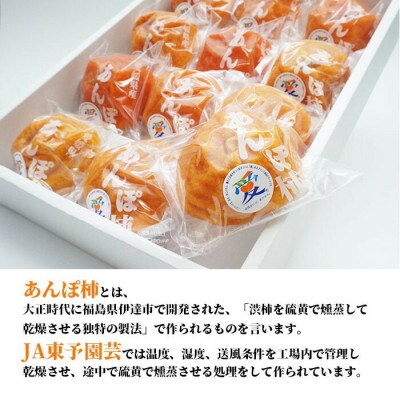 西条特産あんぽ柿12個入りセット
