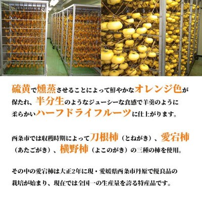 西条特産あんぽ柿12個入りセット