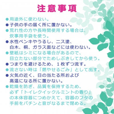 【毎月定期便】愛媛県西条市製造 トイレクイックル つめかえ用 ジャンボパック 6個セット全4回