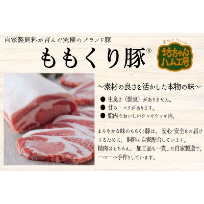 坊っちゃんハム工房オリジナルセット(1)6種約850g