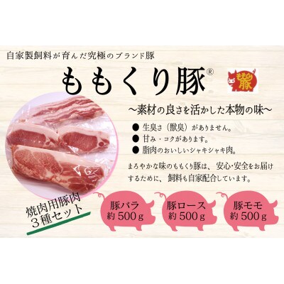 坊っちゃんハム工房 バーベキューセット　7種約3.3kg