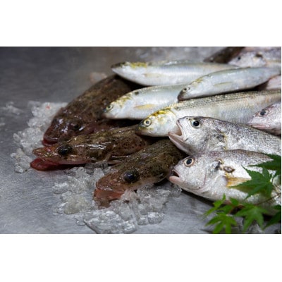 瀬戸内 地魚天ぷらセット(平天・丸天・ごぼ天)