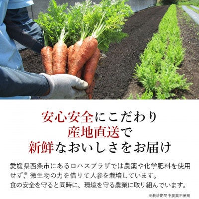 栽培期間中農薬不使用の自家製にんじん100%使用「人参ジュース　ザ・人参」720ml×2本