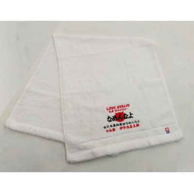 保護犬猫活動支援コラボ　今治タオルブランド認定品　伊予西条なめねこタオル フェイスタオル 2枚セット