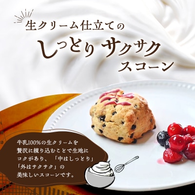 焼菓子 生クリームスコーン 20個 セット 訳あり[No5354-0287]