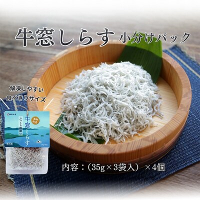 しらす干し 食べきり 小分けパック(35g×3袋入)×4個 瀬戸内海産 [No.5735-2035]
