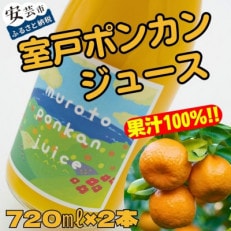 ぽんかんの甘さそのまま!室戸ポンカンジュース(2本セット)