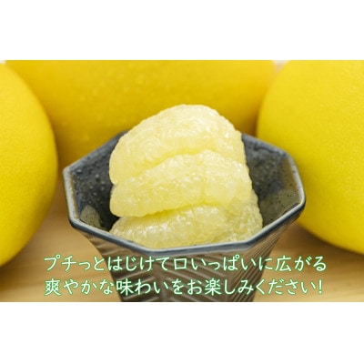千光士農園の土佐文旦(ご家庭用小玉) 5kg