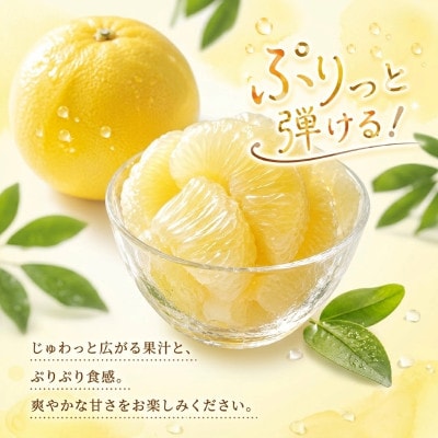千光士農園の土佐文旦  (ご家庭用小玉) 10kg