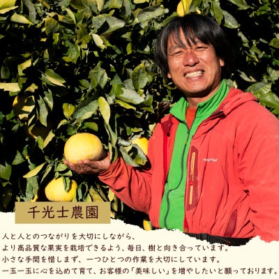 千光士農園の土佐文旦  (ご家庭用小玉) 10kg