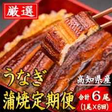 【毎月定期便】高知県産うなぎの蒲焼き 1尾 全6回