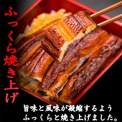 【毎月定期便】高知県産うなぎの蒲焼き 2尾 全6回