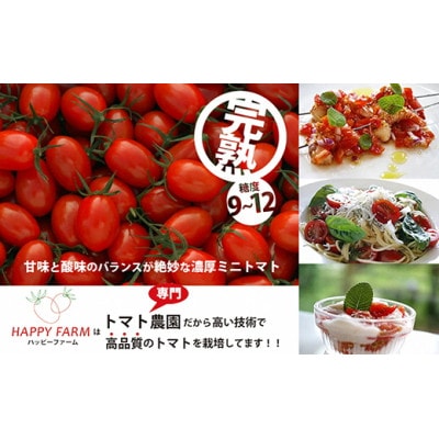 ハッピートマト1kg