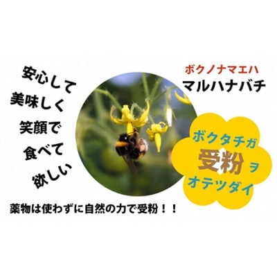 ハッピートマト1kg