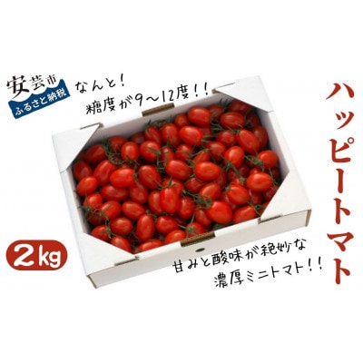 ハッピートマト2kg