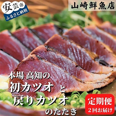 【発送月固定定期便】本場 高知の初カツオと戻りカツオのたたき定期便 4節セット×全2回
