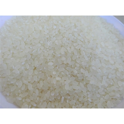 【毎月定期便】12ヵ月連続でお届け!「にこまる」定期便 10kg 全12回